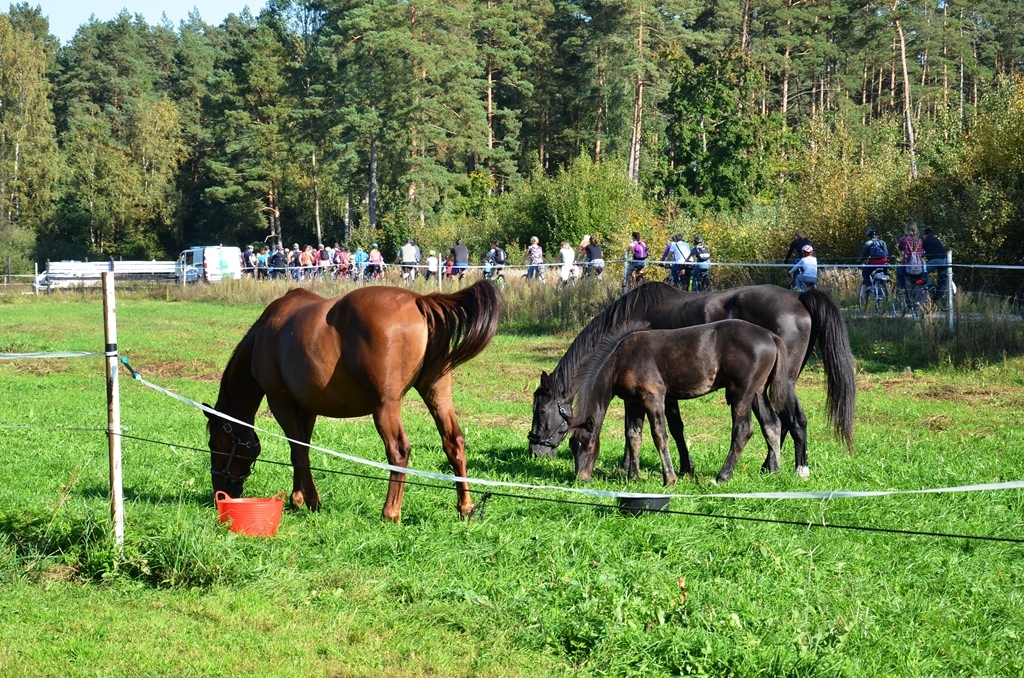 Atpūtas velobrauciens "IERIPO RUDENĪ"