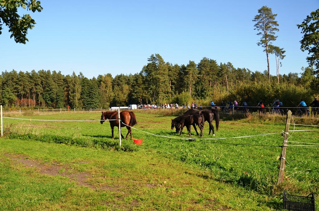 Atpūtas velobrauciens "IERIPO RUDENĪ"