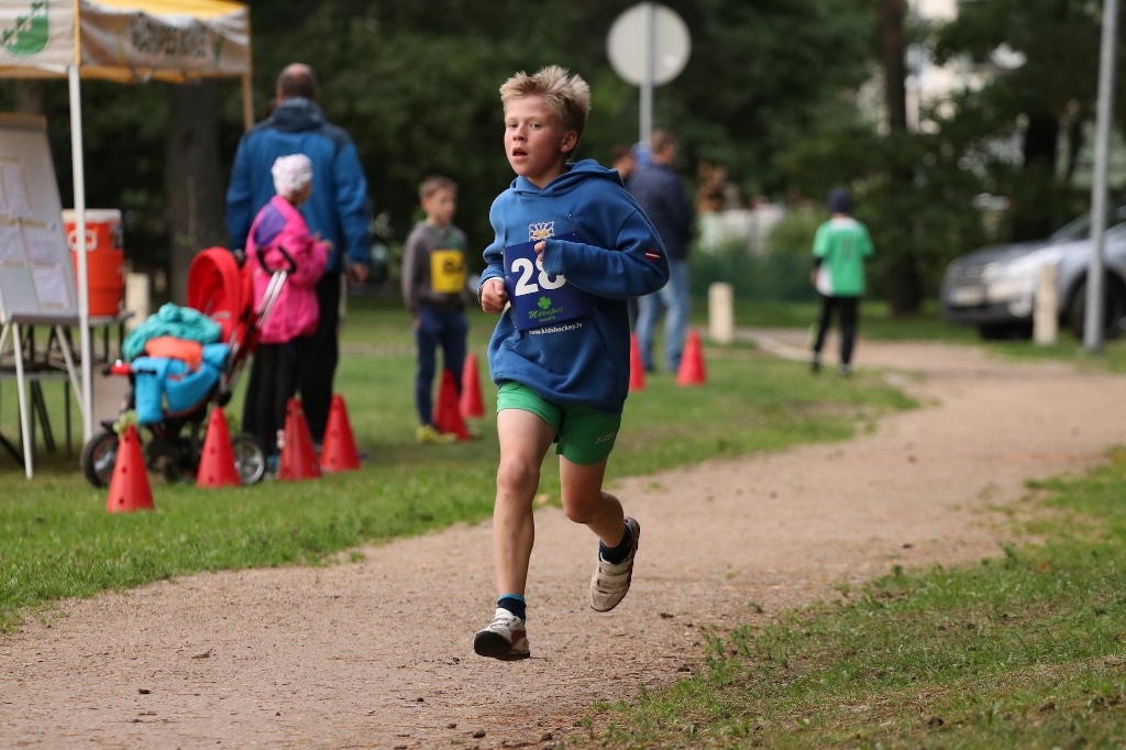 Rudens kross 2017