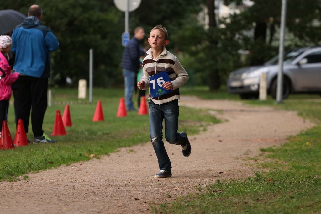 Rudens kross 2017