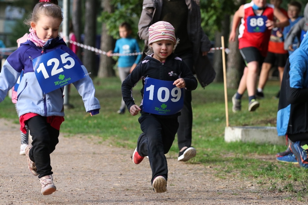 Rudens kross 2017