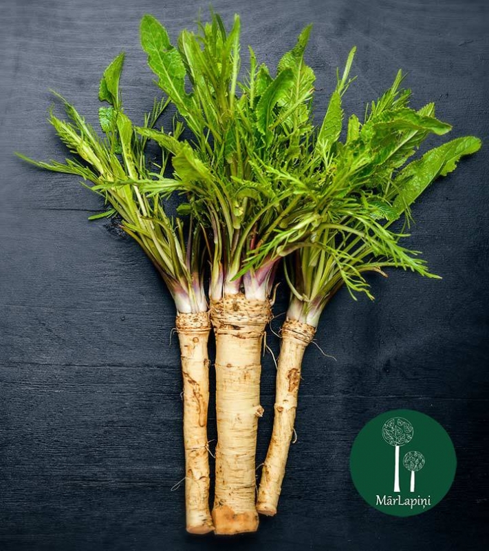 marlapini