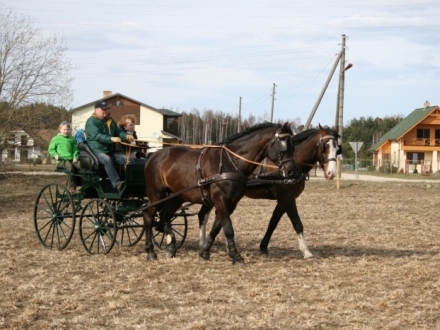 Stallis "Birzuļi"