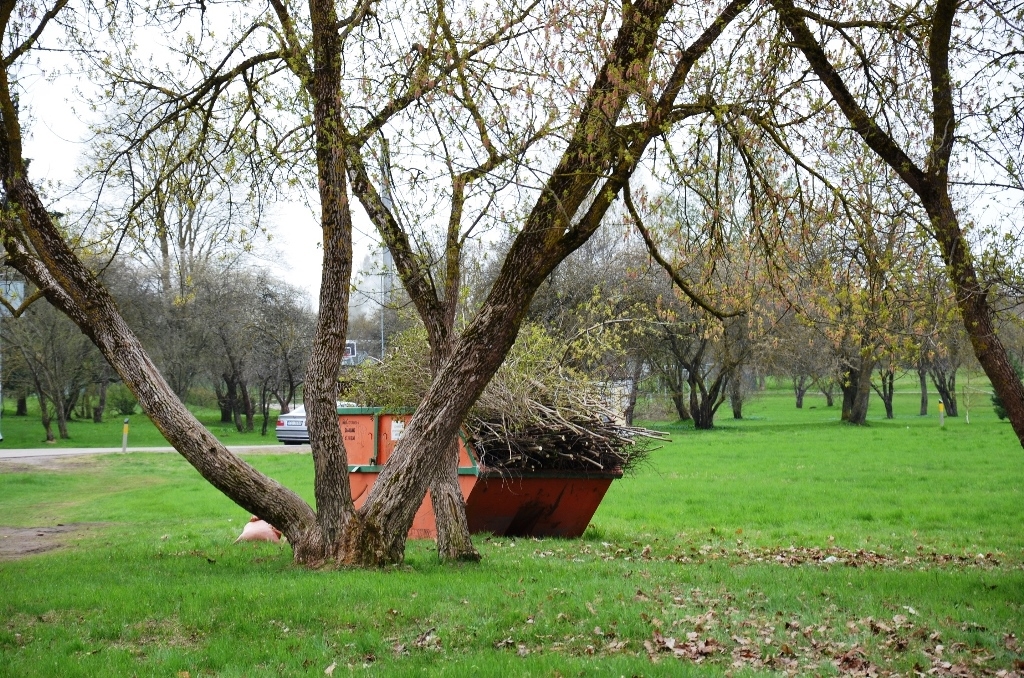 Lielā talka Mārupē, 28.04.2018