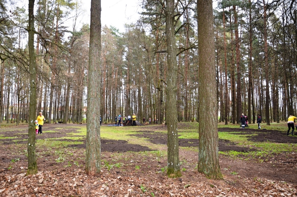 Lielā talka Mārupē, 28.04.2018