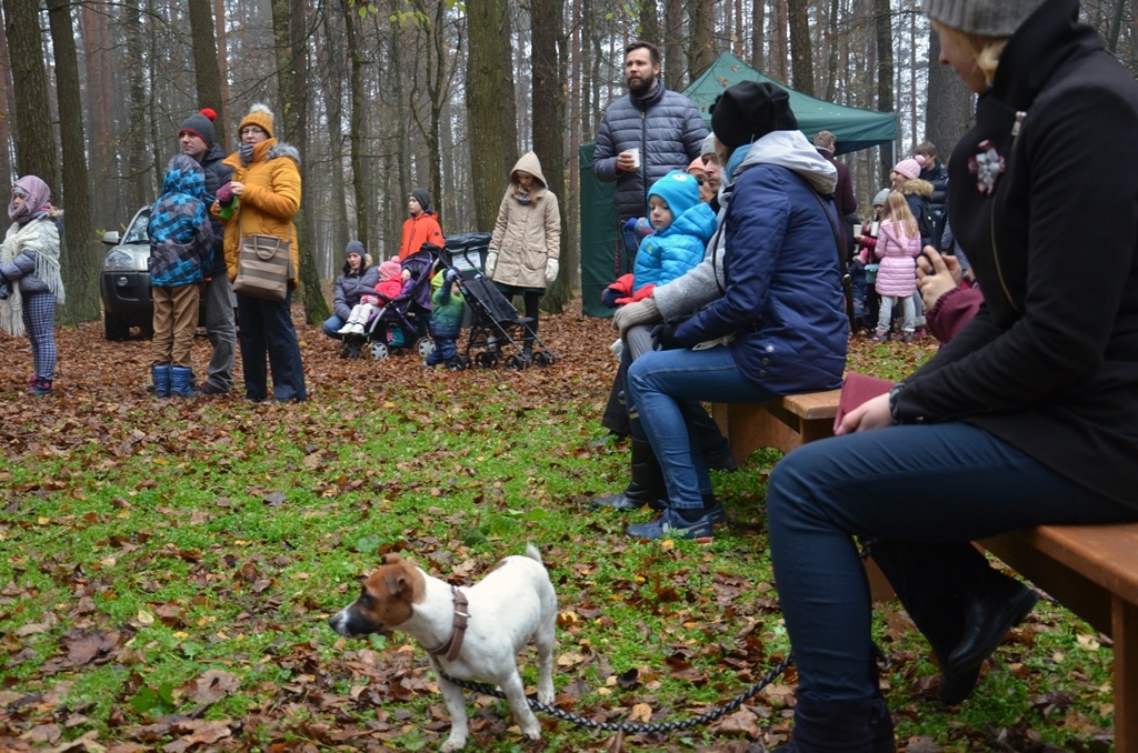 Bermontiāde Mārupes novadā, 10.11.2018.