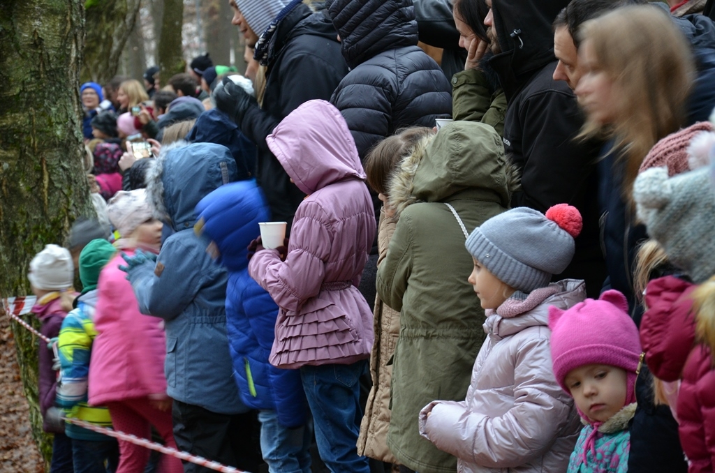 Bermontiāde Mārupes novadā, 10.11.2018.