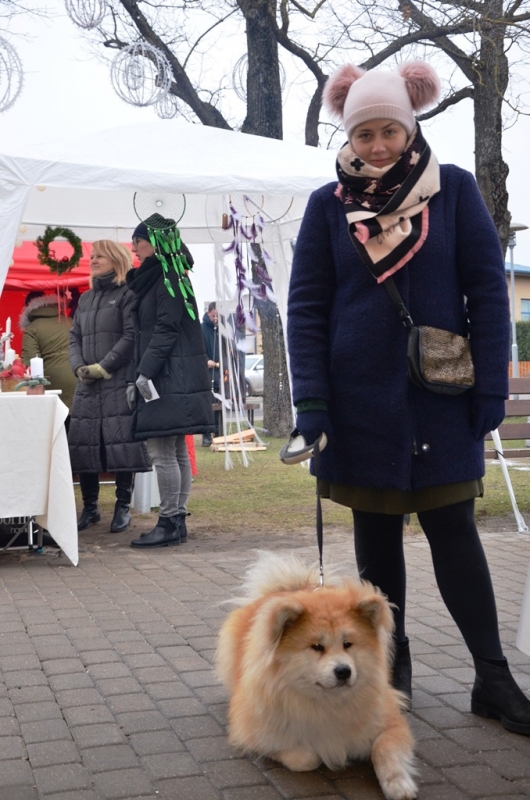 Ziemassvētku tirdziņš un Baltās adventes koncerts, 16.12.2018.