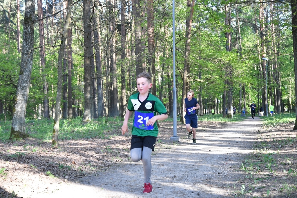 "Pavasara kross 2019", 2.posms Jaunmārupē, 15.05.2019.