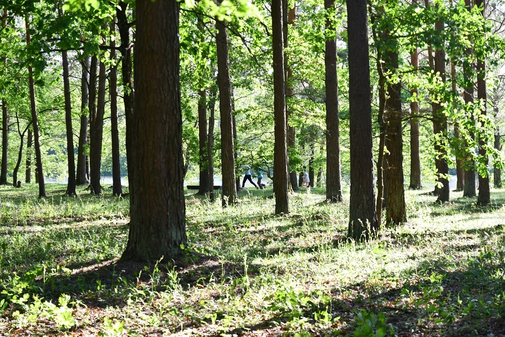 Pavasara krosa sacensību noslēgums Jaunmārupē, 29.05.2019.