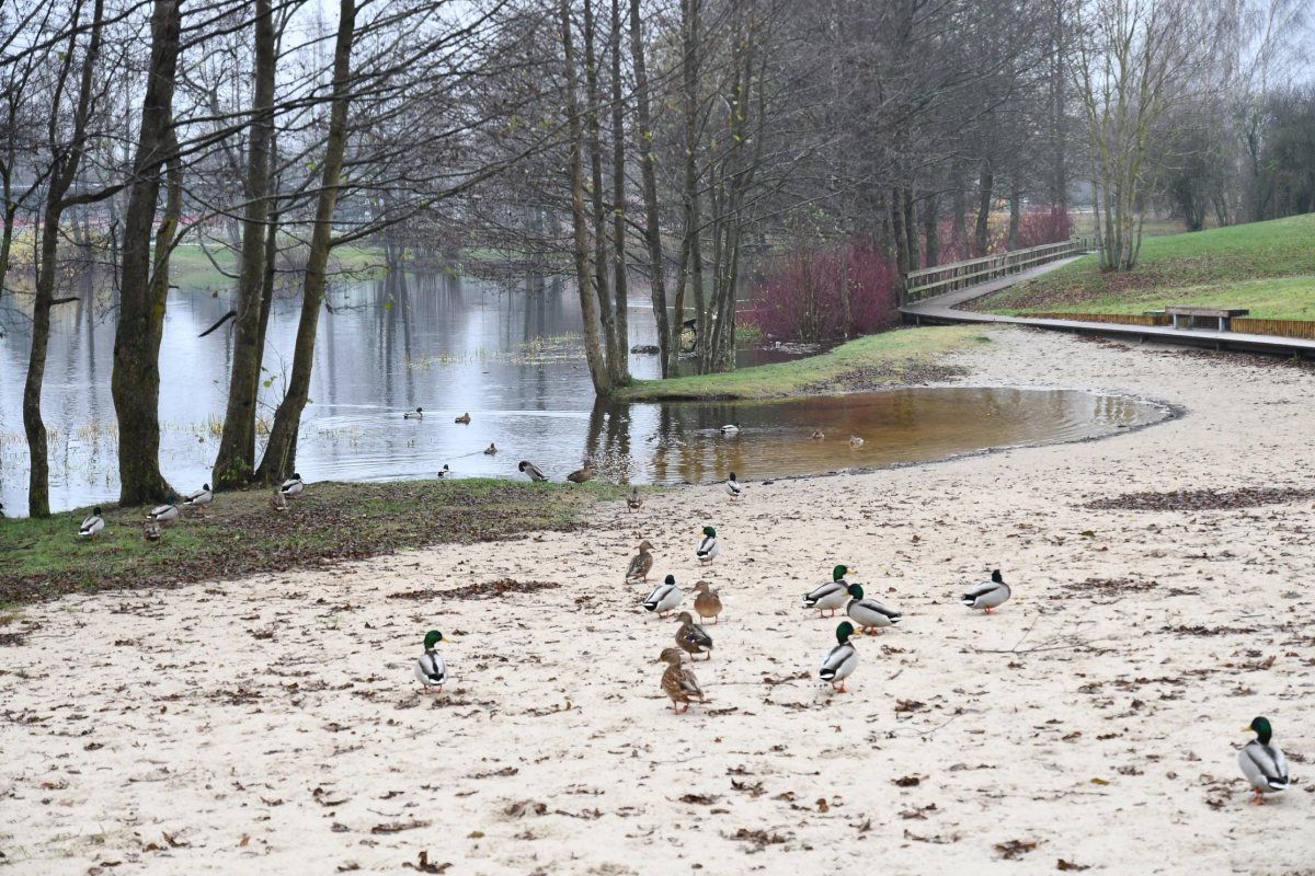 Tematiska Latvijas Brīvības cīņu notikumu atceres orientēšanās spēle "Skrējiens uz brīvību"