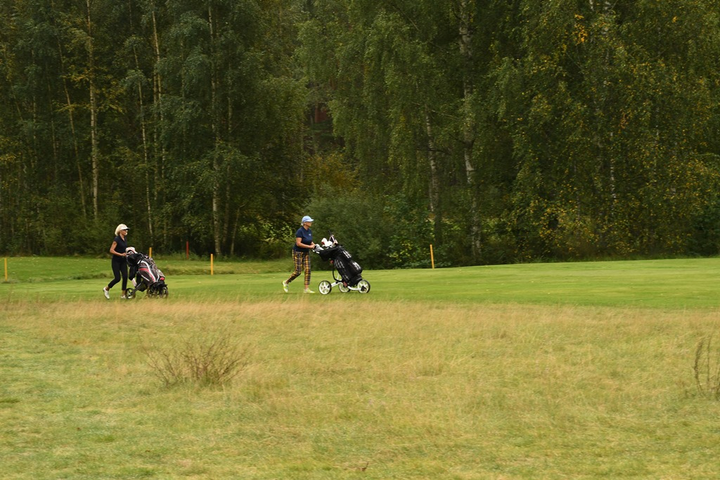 Mārupes kausa izcīņa golfā