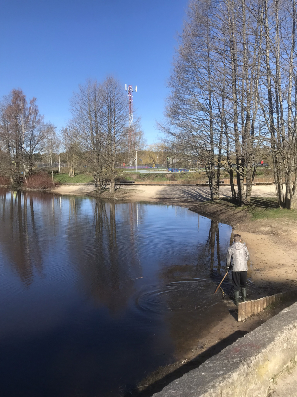 Jaunmārupes dabas parks. Dīķu tīrīšana