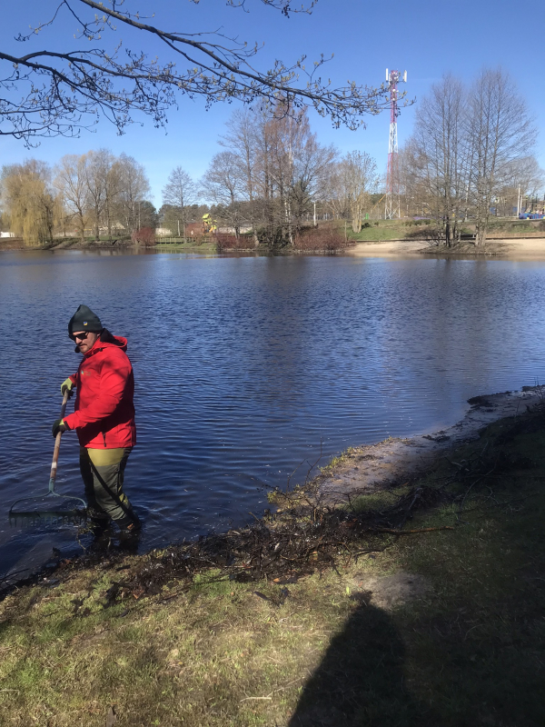 Jaunmārupes dabas parks. Dīķu tīrīšana