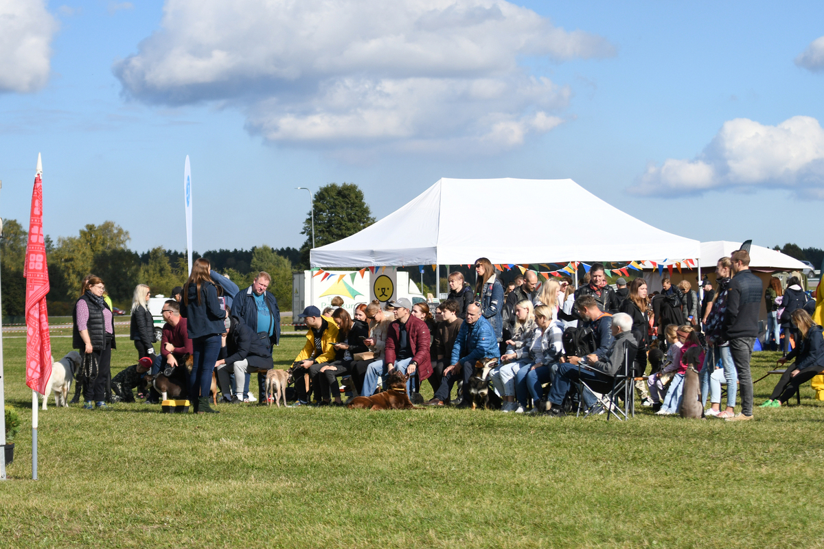 Suņu burziņš Jaunmārupē 24.09.2022.