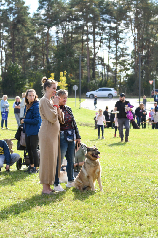 Suņu burziņš Jaunmārupē 24.09.2022.