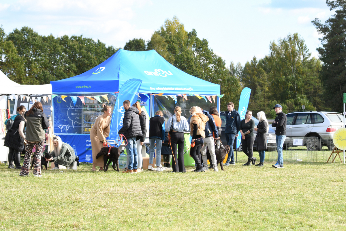 Suņu burziņš Jaunmārupē 24.09.2022.