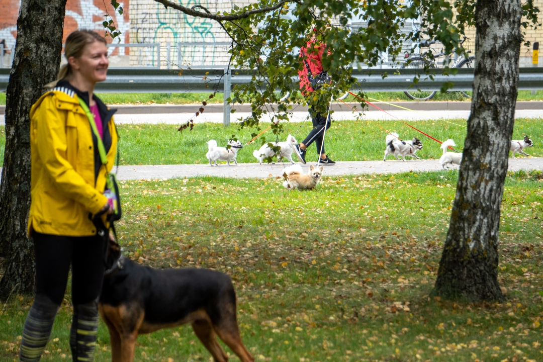 Ģimeņu foto ORIENTĒŠANĀS Piņķos | 23.09.2023.