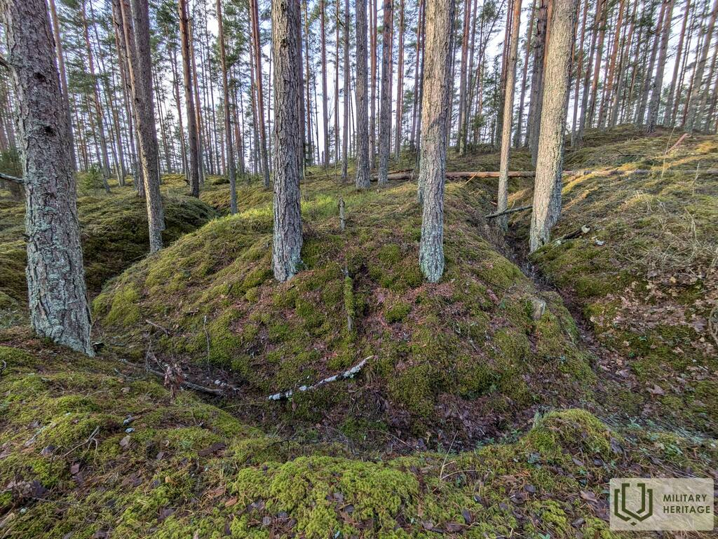 Nordeķu – Kalnciema kāpu grēda