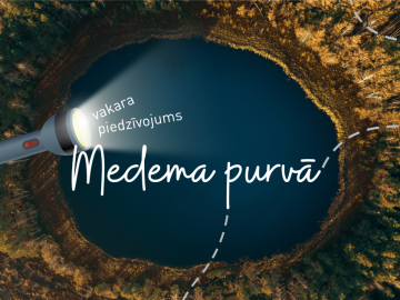 Medema purvā