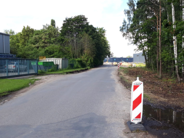 Asfaltēta iela starp kokiem