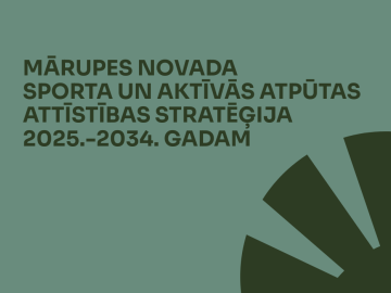 vizuālis mājaslapai