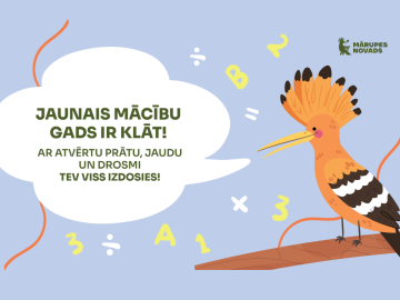 Vizuālis ar pupuķi