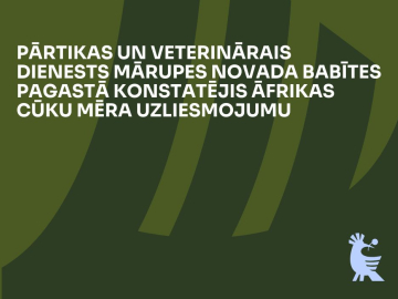 Tumši zaļš fons ar gaiši zilu grafisko elementu un baltu tekstu par Āfrikas cūku mēra gadījumu Mārupes novada Babītes pagastā