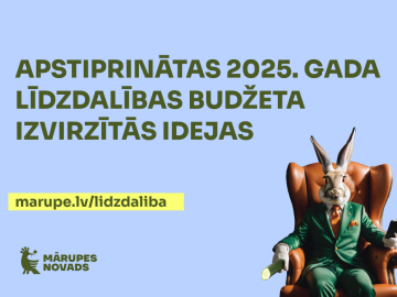 Līdzdalības budžeta vizuālis