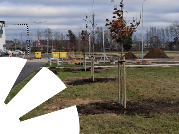 Dabas skats ar iestādītu koku un baltu grafiku virsū