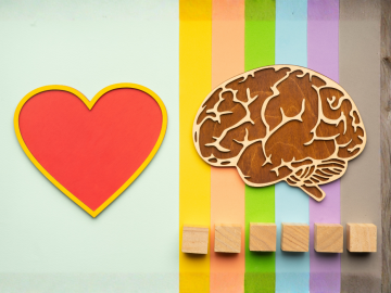 Sirds un smadzenes uz krāsaina fona