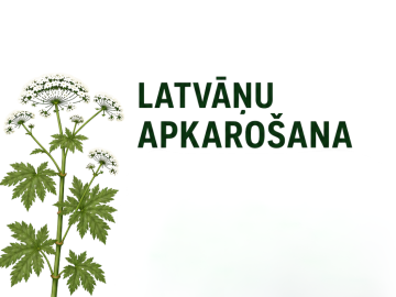 gaišs fons ar zaļiem elementiem un tekstu