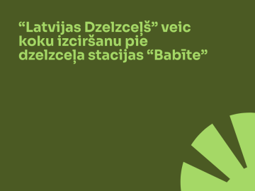 “Latvijas Dzelzceļš” veic koku izciršanu pie dzelzceļa stacijas “Babīte”