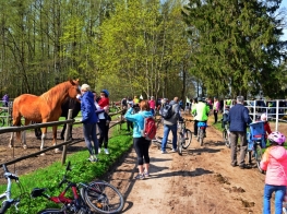 Zirgu stallis Zirgzandales