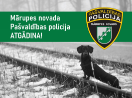 policija