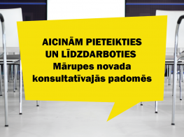 lidzdarbojies