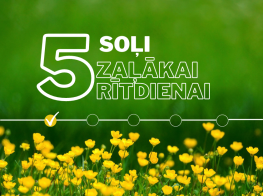 5 soli web