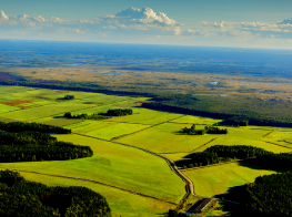 Paziņojums par  lokālplānojuma, ar kuru  groza teritorijas plānojumu nekustamā īpašuma Lambertu iela 3 (“Grundmaņi”) Mārupē, Mārupes pagastā, teritorijā, apstiprināšanu un saistošo noteikumu Nr.8/2022 izdošanu