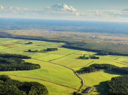 Paziņojums par detālplānojuma apstiprināšanu - Kursīšu iela 27 (“Veczilgavji”) Mārupē