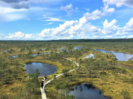 Paziņojums par dabas aizsardzības plāna izstrādes sabiedriskās apspriešanas sanāksmi Ķemeru Nacionālajam parkam