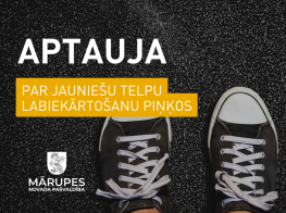 aptauja