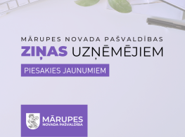 ziņu lapa vizuālis