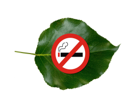 Aicina piedalīties aptaujā par tabakas izstrādājumu lietošanas paradumiem Latvijā