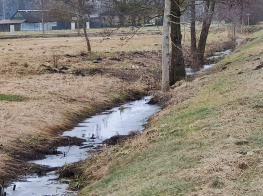 melio