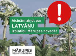 vizuālis latvāņi