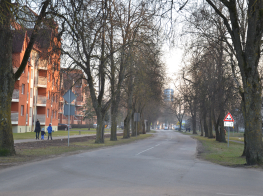 Iela ar koku aleju, kurai blakus atrodas sarkanas dzīvokļmājas