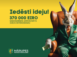 Grafisks vizuālis par līdzdalības budžetu - zaķis zaļā uzvalkā sēž brūnā ādas krēslā