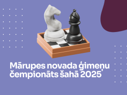 Vizuālis ar šaha figūriņām baltu un melnu zirgu