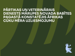 Tumši zaļš fons ar gaiši zilu grafisko elementu un baltu tekstu par Āfrikas cūku mēra gadījumu Mārupes novada Babītes pagastā