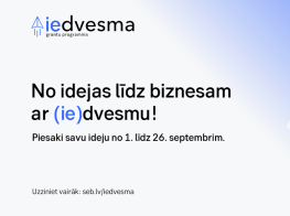 Gaišs fons un teksta elementu grafika